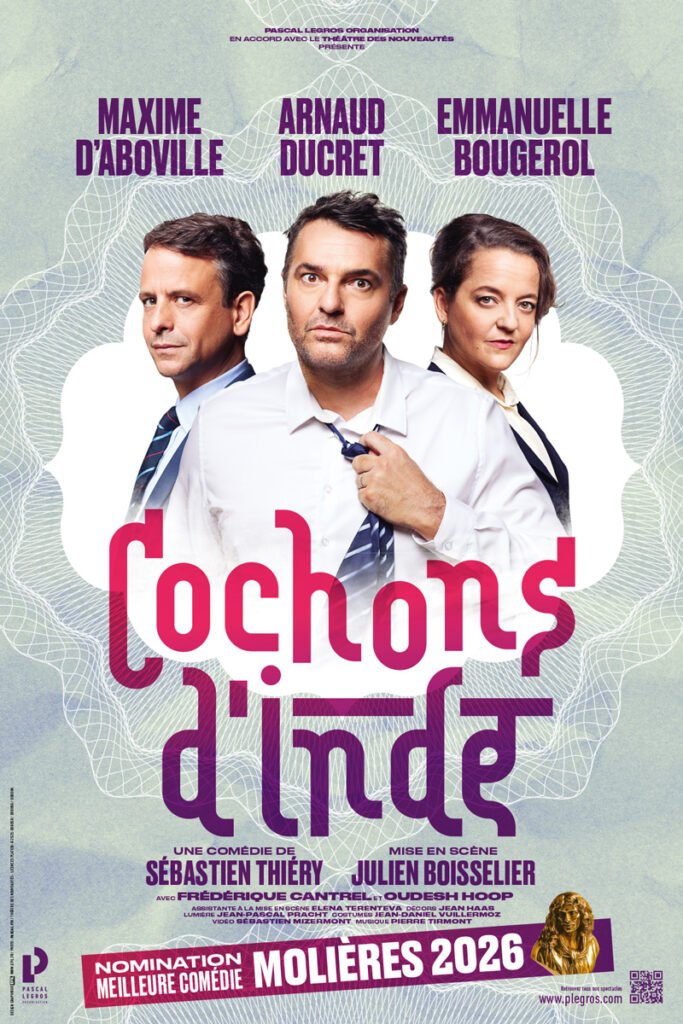 Cochon d’Inde
