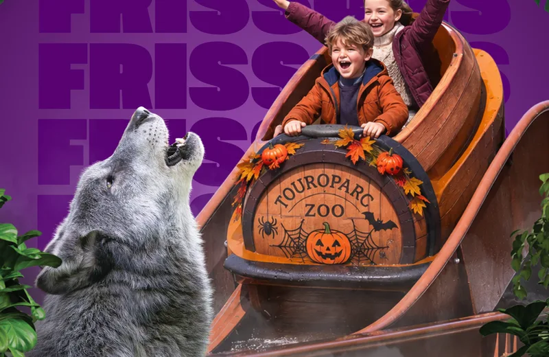 Halloween – Touroparc Zoo