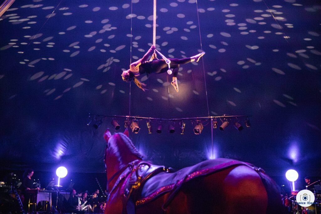 Spectacle de l’Automne – Chevaux & Orchestre